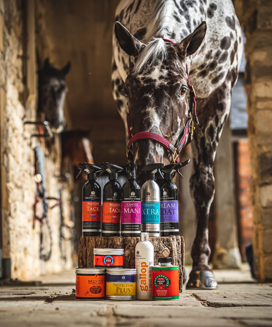 Horse Care Products