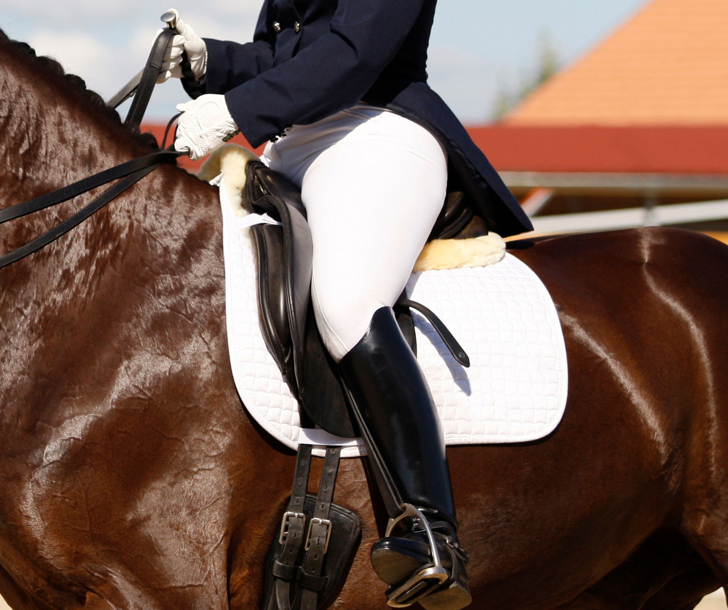 Dressage Saddle