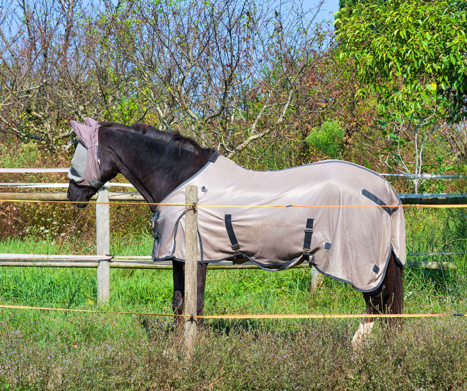 Fly Rugs & Masks