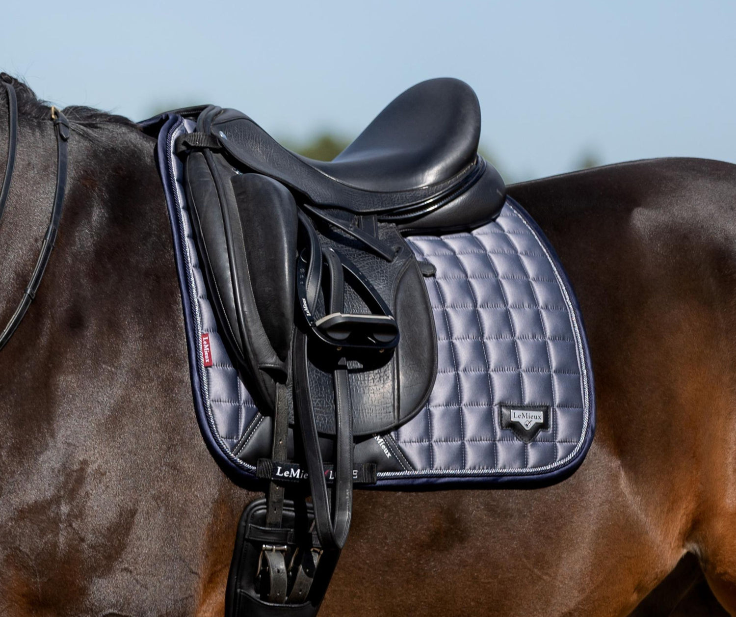 Saddle Pads