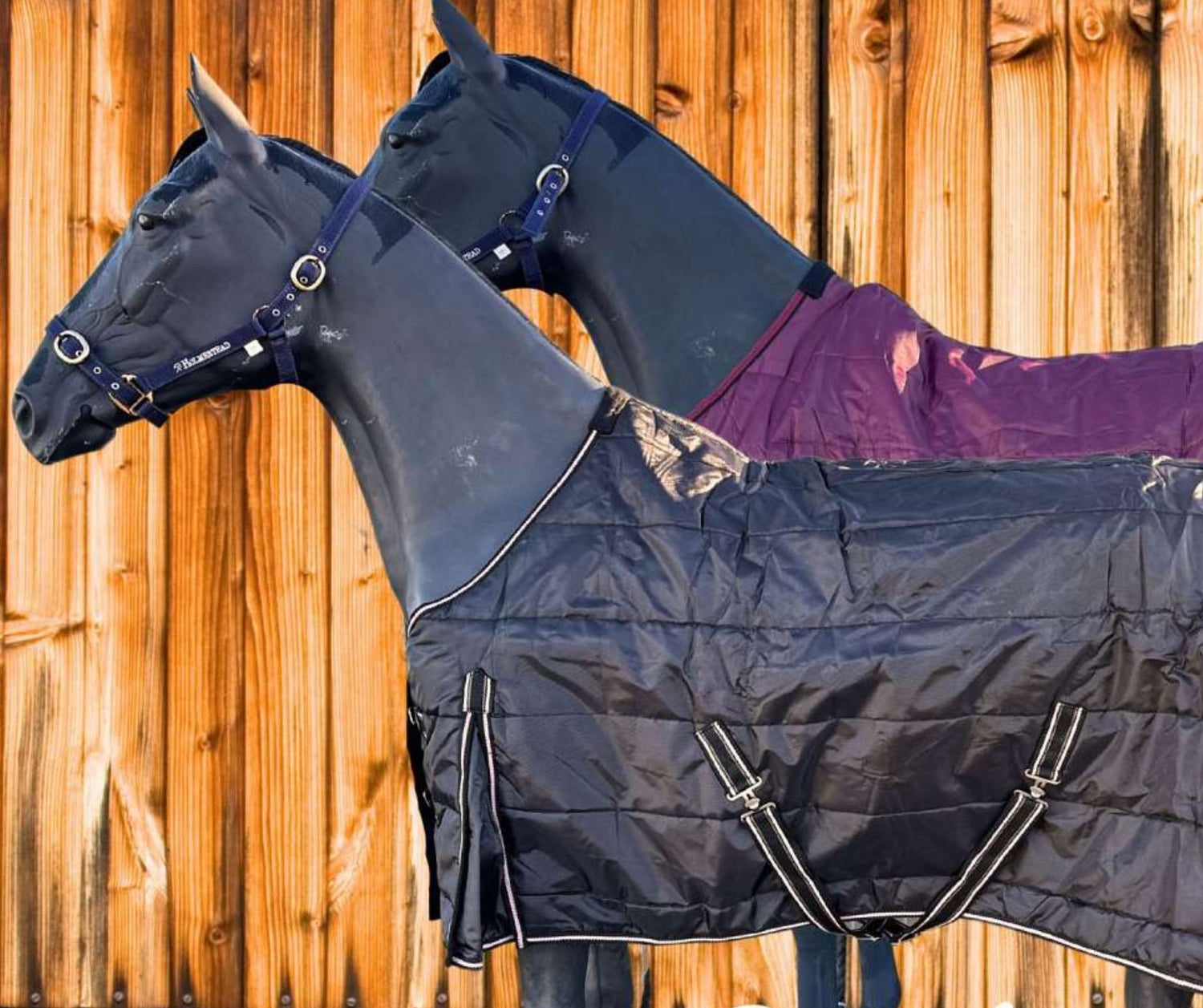 Stable Rugs