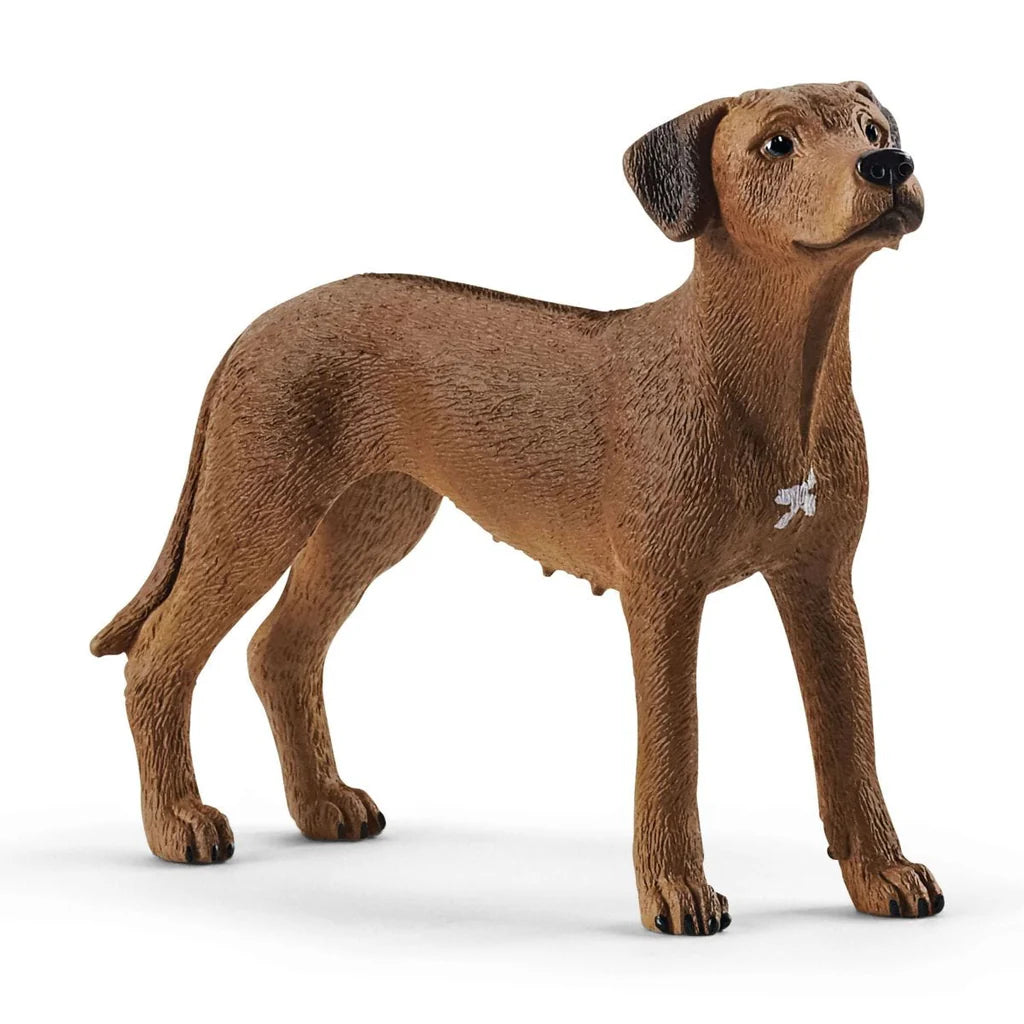 Schleich Rhodesian Ridgeback