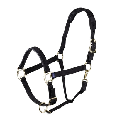 Shires ARMA Topaz Nylon Headcollar