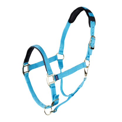 Shires ARMA Topaz Nylon Headcollar