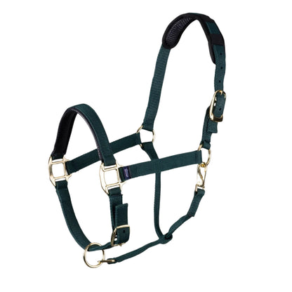 Shires ARMA Topaz Nylon Headcollar