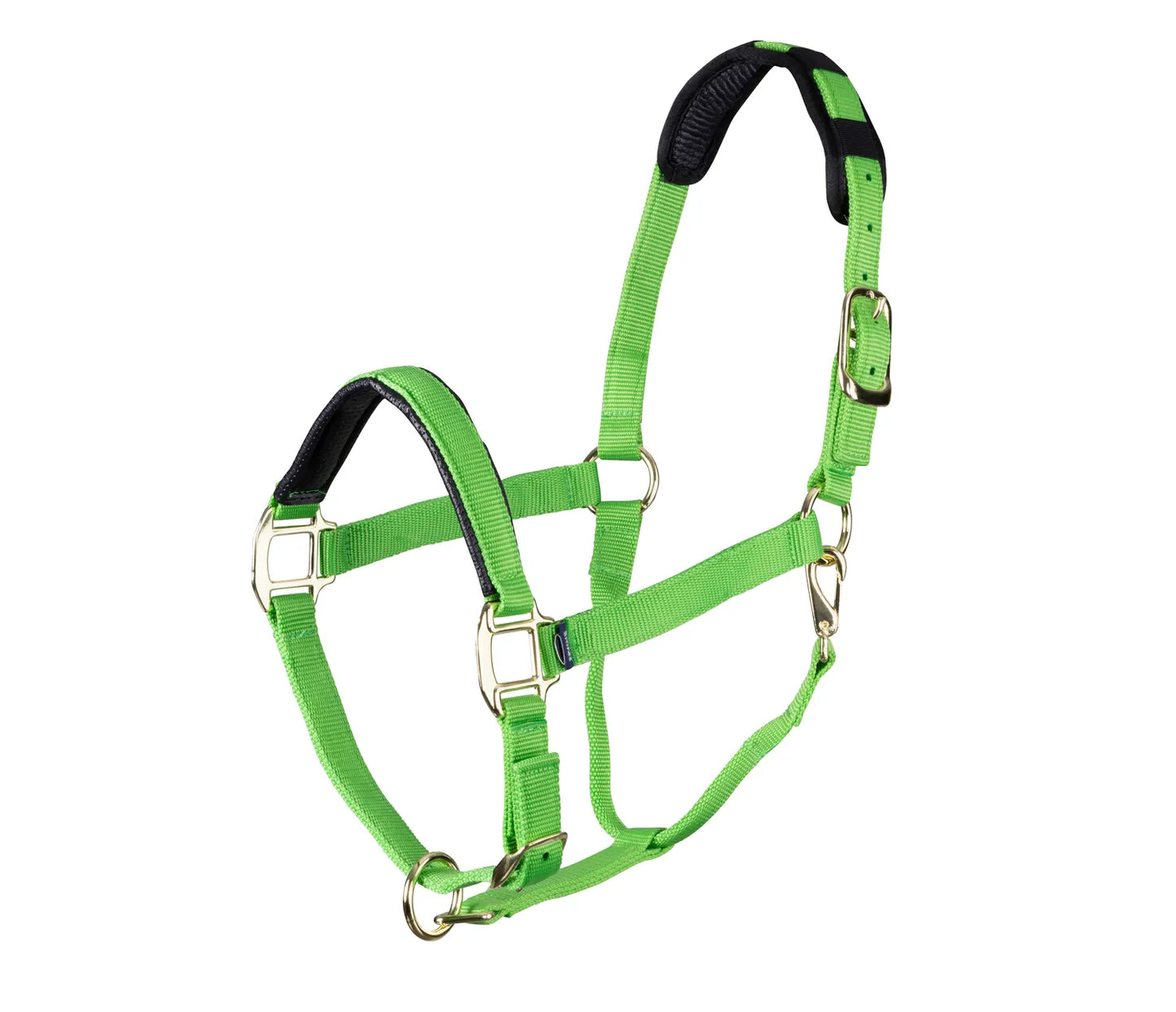 Shires Arma Topaz Nylon Headcollar