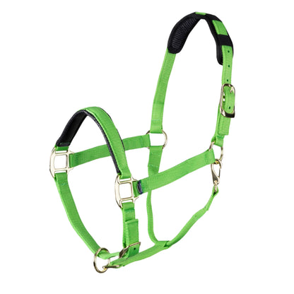 Shires ARMA Topaz Nylon Headcollar