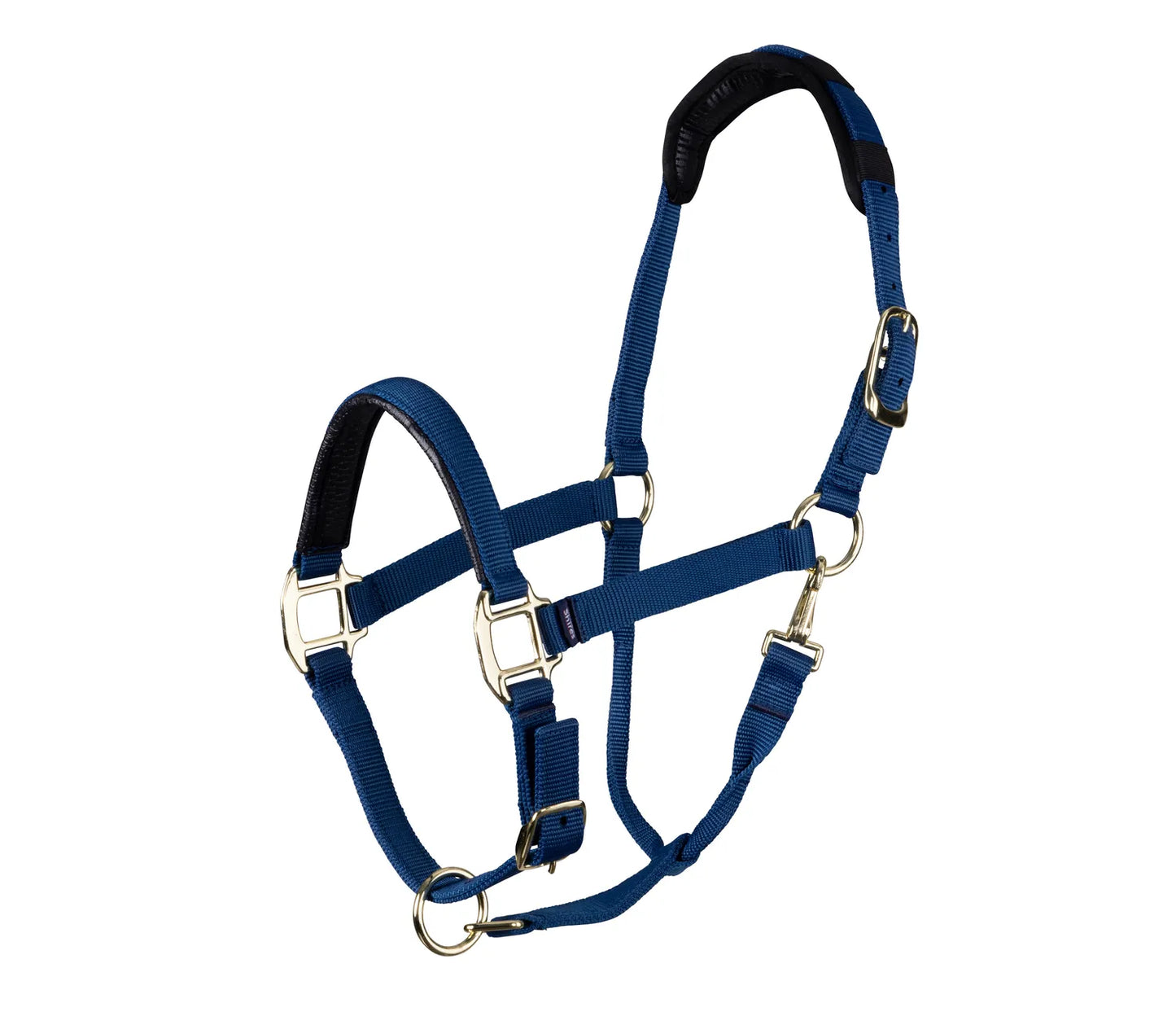 Shires Arma Topaz Nylon Headcollar