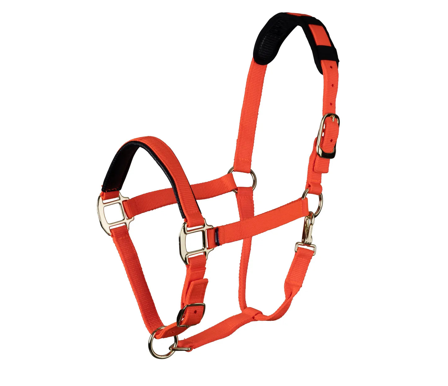 Shires Arma Topaz Nylon Headcollar