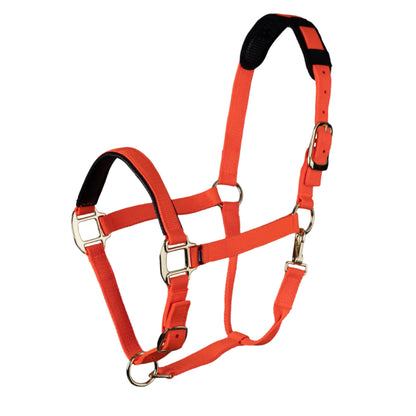 Shires ARMA Topaz Nylon Headcollar