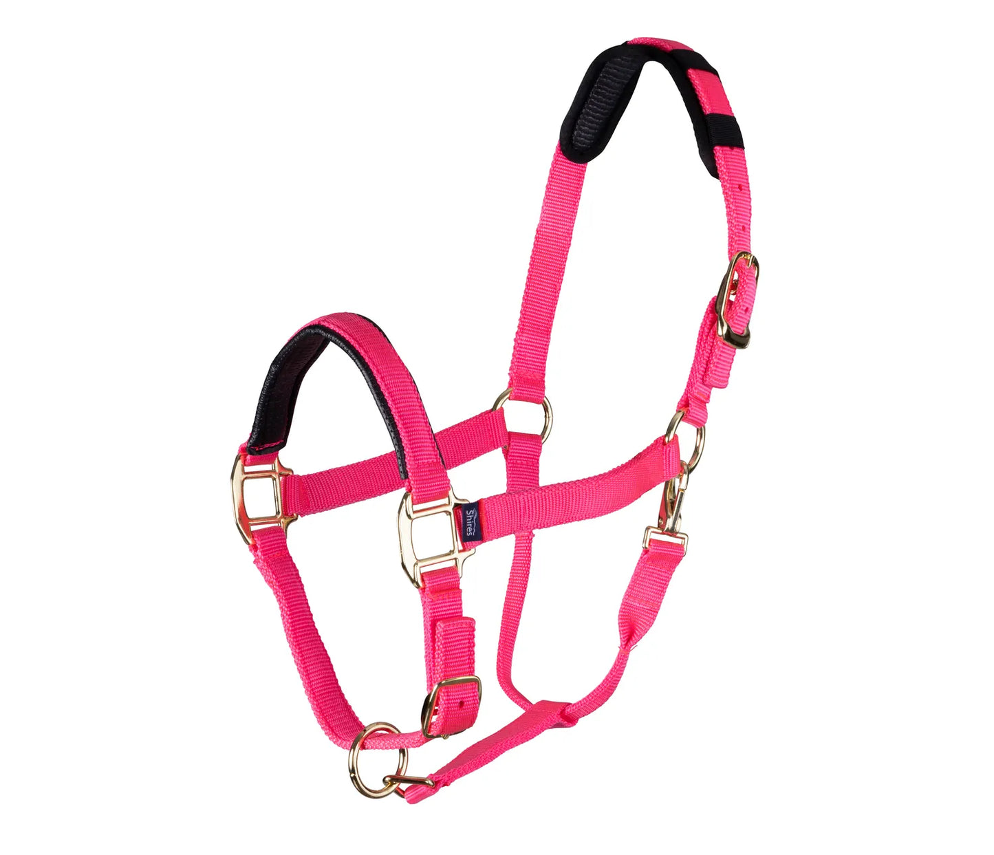 Shires Arma Topaz Nylon Headcollar