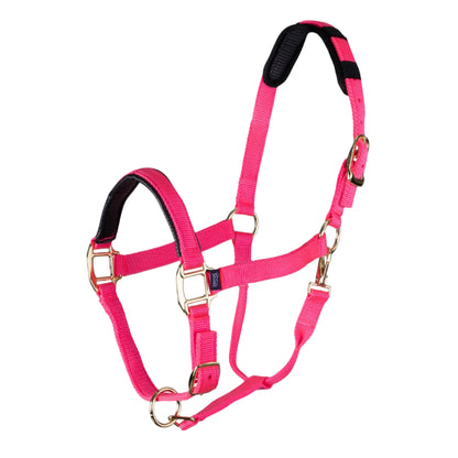 Shires ARMA Topaz Nylon Headcollar