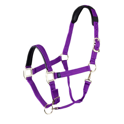 Shires ARMA Topaz Nylon Headcollar