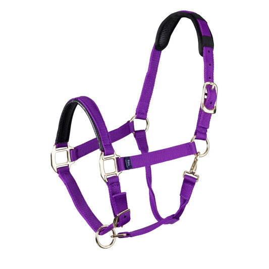 Shires Arma Topaz Nylon Headcollar