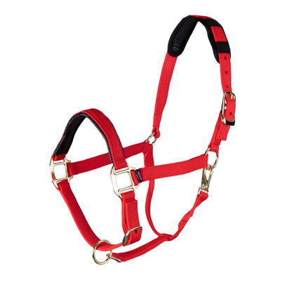 Shires ARMA Topaz Nylon Headcollar