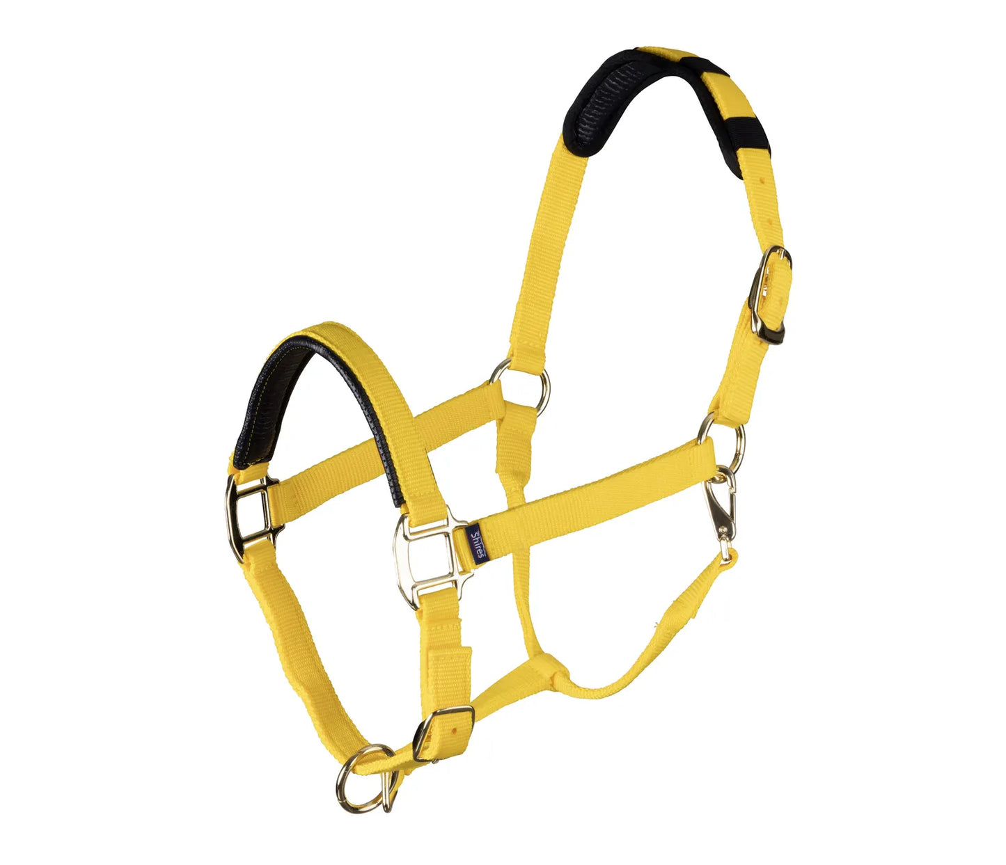 Shires Arma Topaz Nylon Headcollar