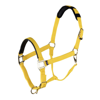 Shires ARMA Topaz Nylon Headcollar