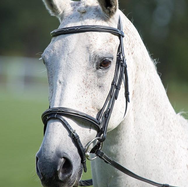 Shires Avignon Padded Raised Flash Bridle