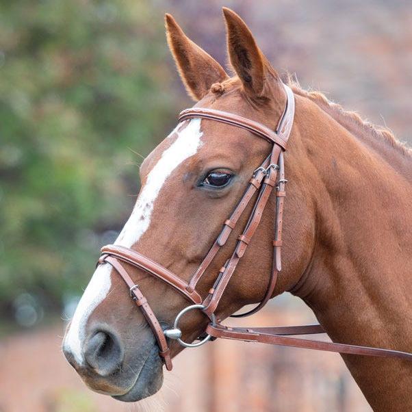 Shires Avignon Padded Raised Flash Bridle