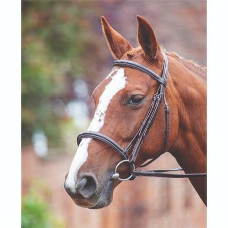 Shires Velociti GARA Raised Cavesson Bridle