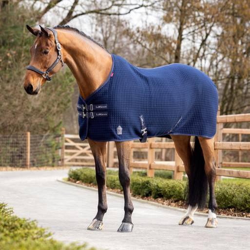 Lemieux Arika Clima-Tek Rug