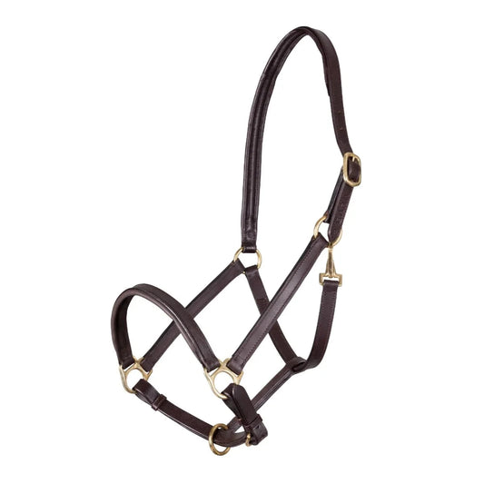 Shires Velociti GARA Ragley Lined Leather Headcollar Havana