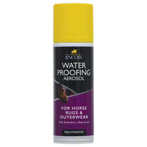 Lincoln Water Proofing Aerosol 150ml