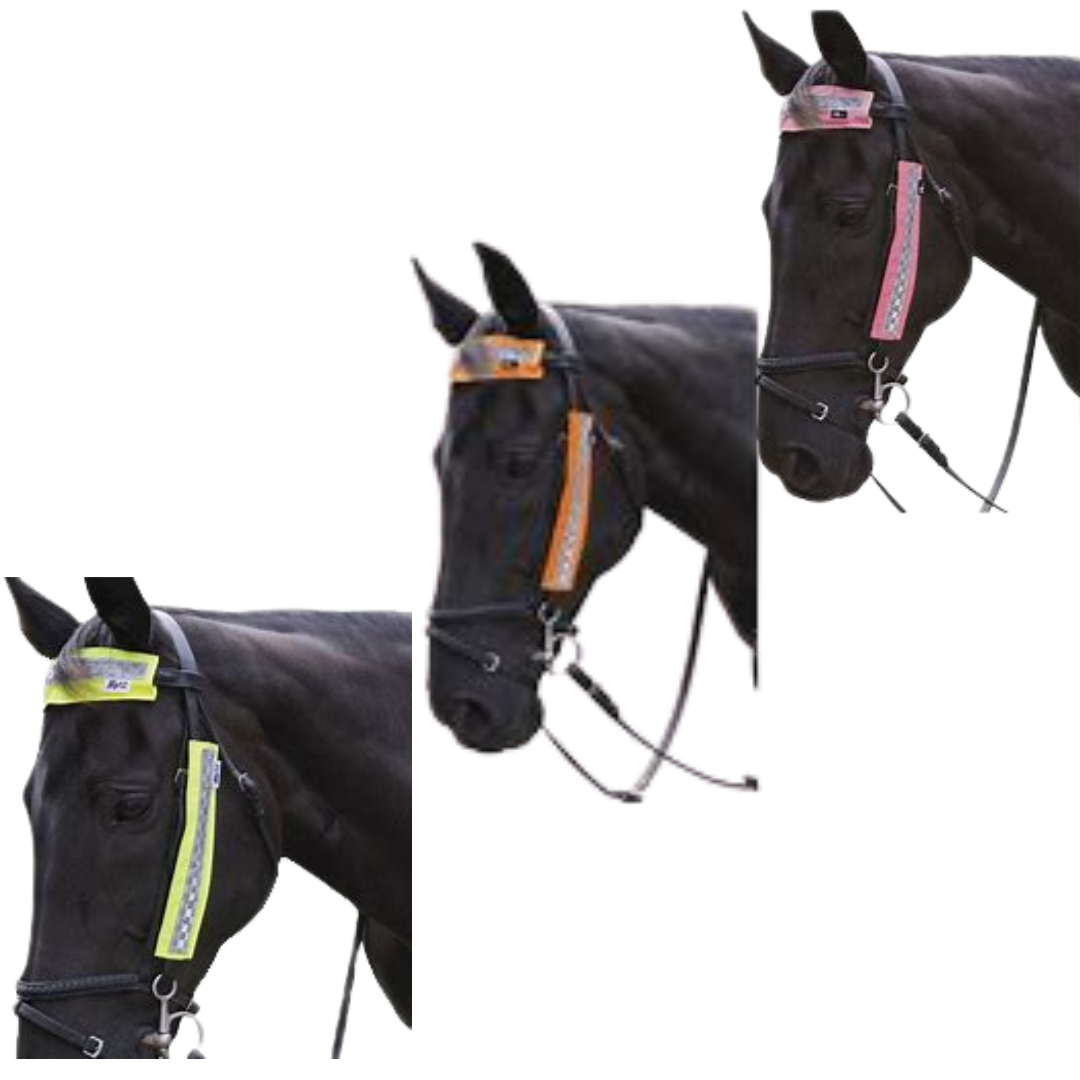 Hy Equestrian HiViz Bridle Set