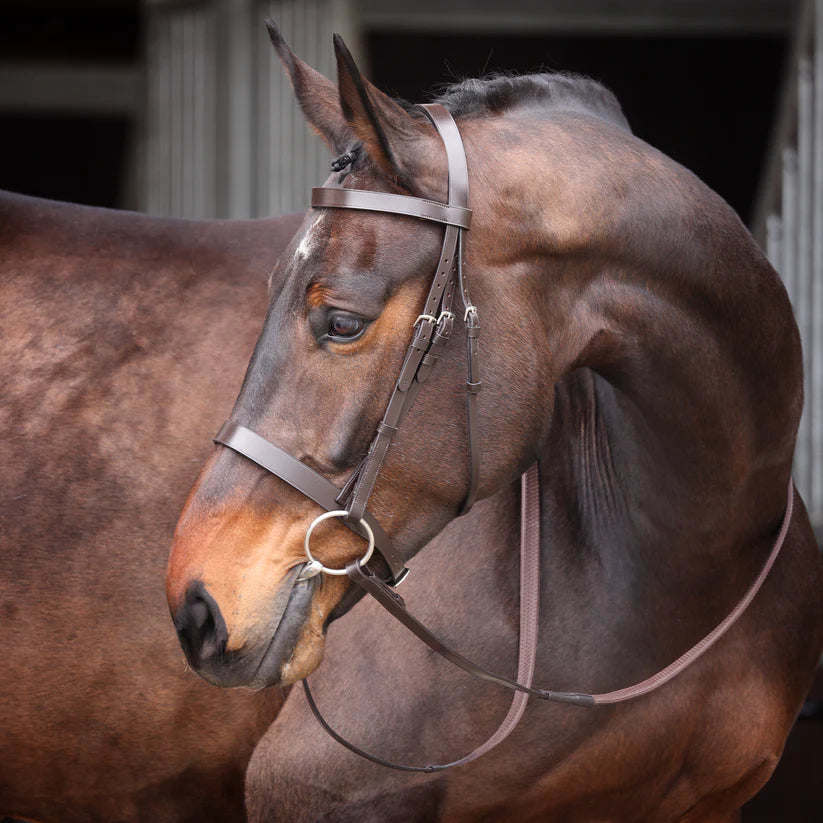 Shires Velociti GARA Plain Bridle