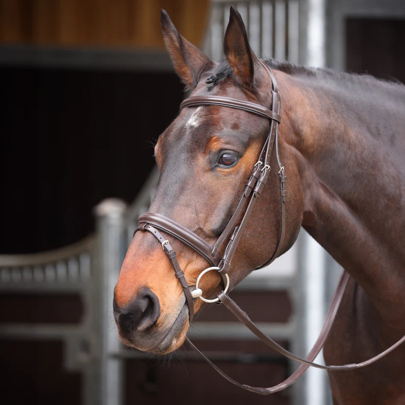 Shires Velociti GARA Comfort Fit Bridle