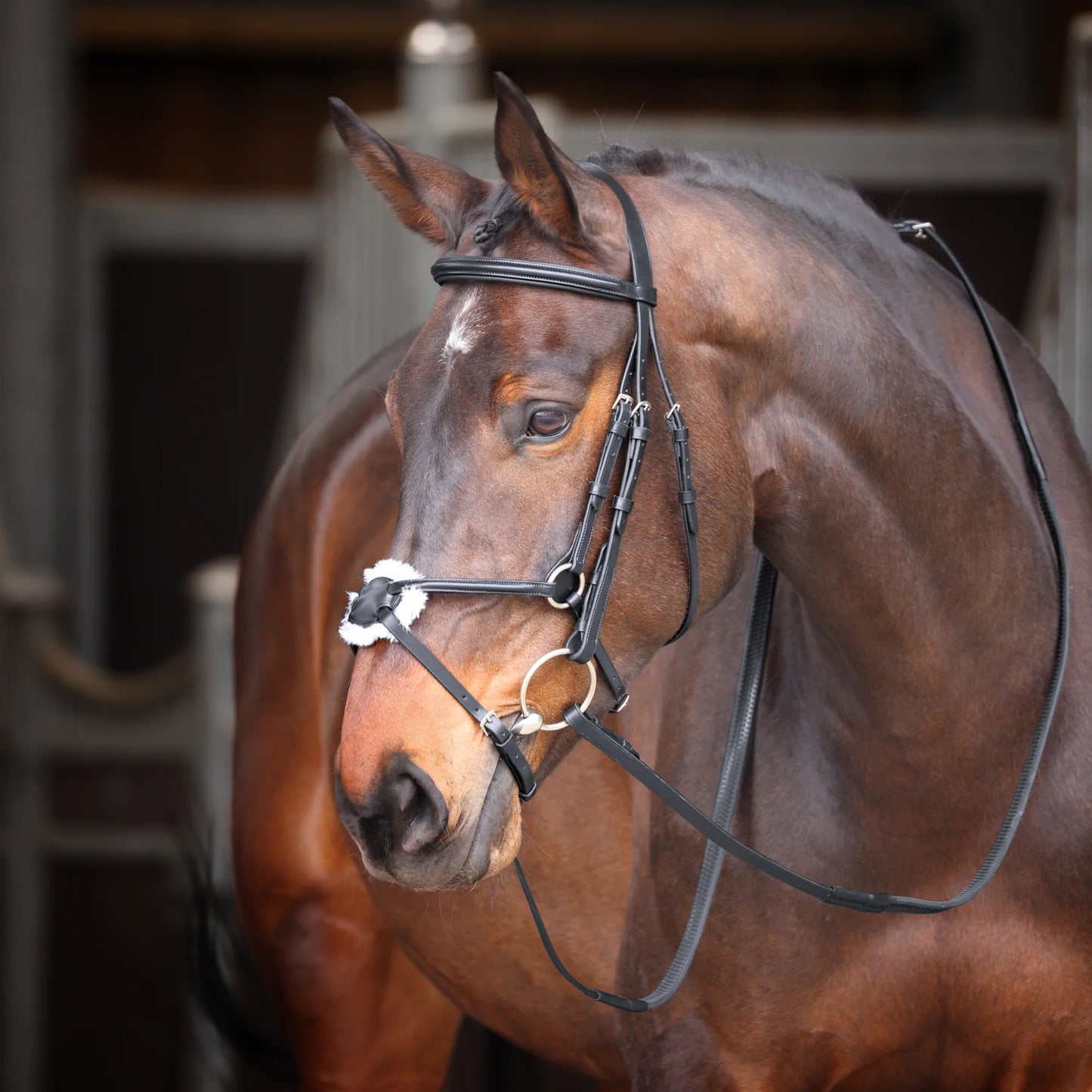 Shires Velociti GARA Mexican Bridle