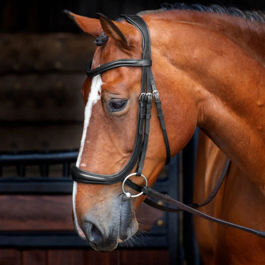 Shires Velociti RAPIDA Ergonomic Cavesson Bridle