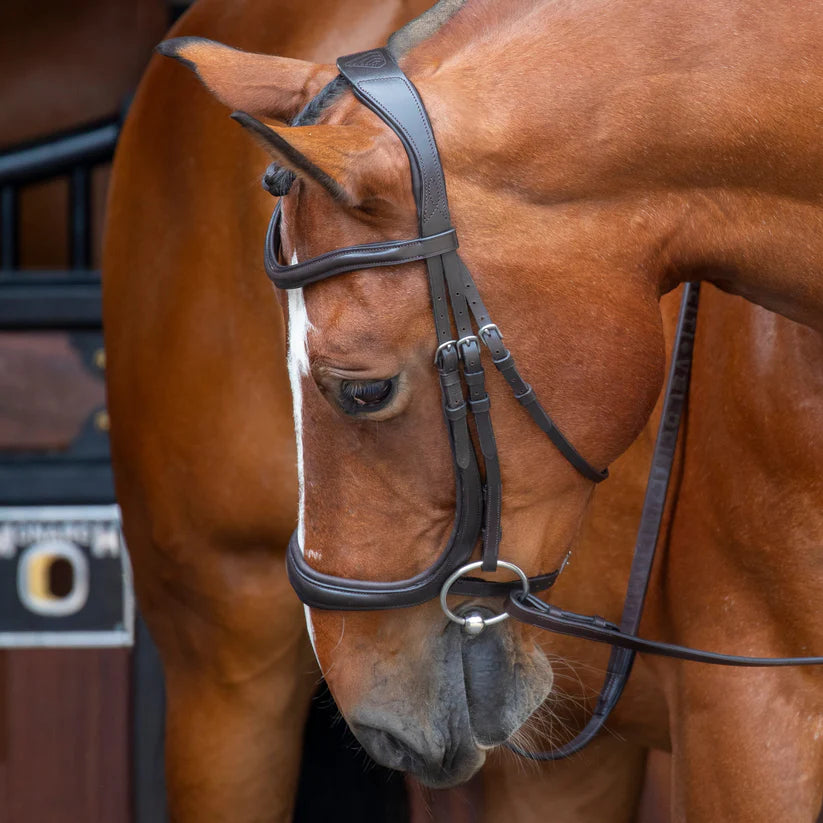 Shires Velociti RAPIDA Ergonomic Cavesson Bridle