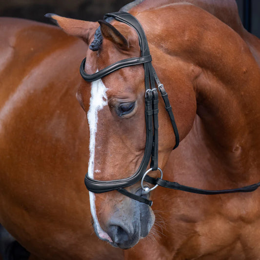 Shires Velociti RAPIDA Ergonomic Curved Flash Bridle