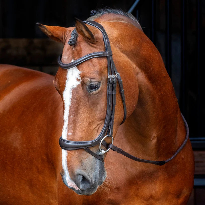 Shires Velociti RAPIDA Ergonomic Curved Flash Bridle