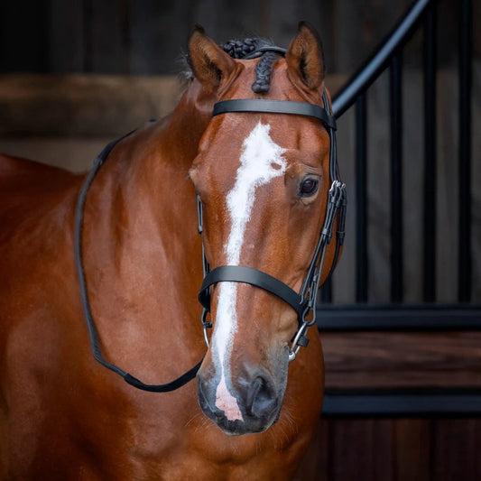 Shires Velociti RAPIDA Hunter Cavesson Bridle