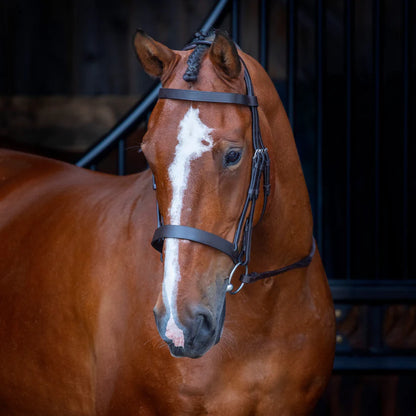 Shires Velociti RAPIDA Hunter Cavesson Bridle