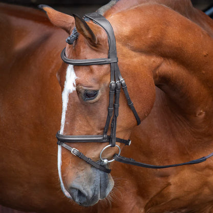 Shires Velociti RAPIDA Padded Raised Flash Bridle