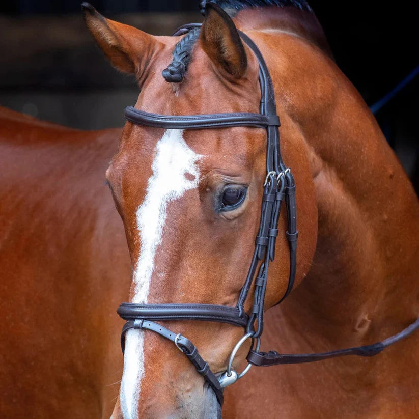 Shires Velociti RAPIDA Padded Raised Flash Bridle