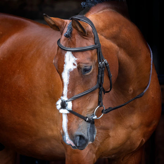 Shires Velociti RAPIDA Grackle Bridle