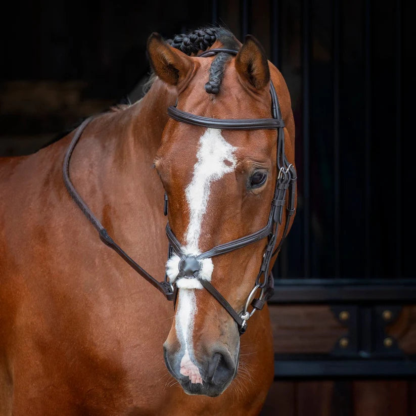 Shires Velociti RAPIDA Grackle Bridle