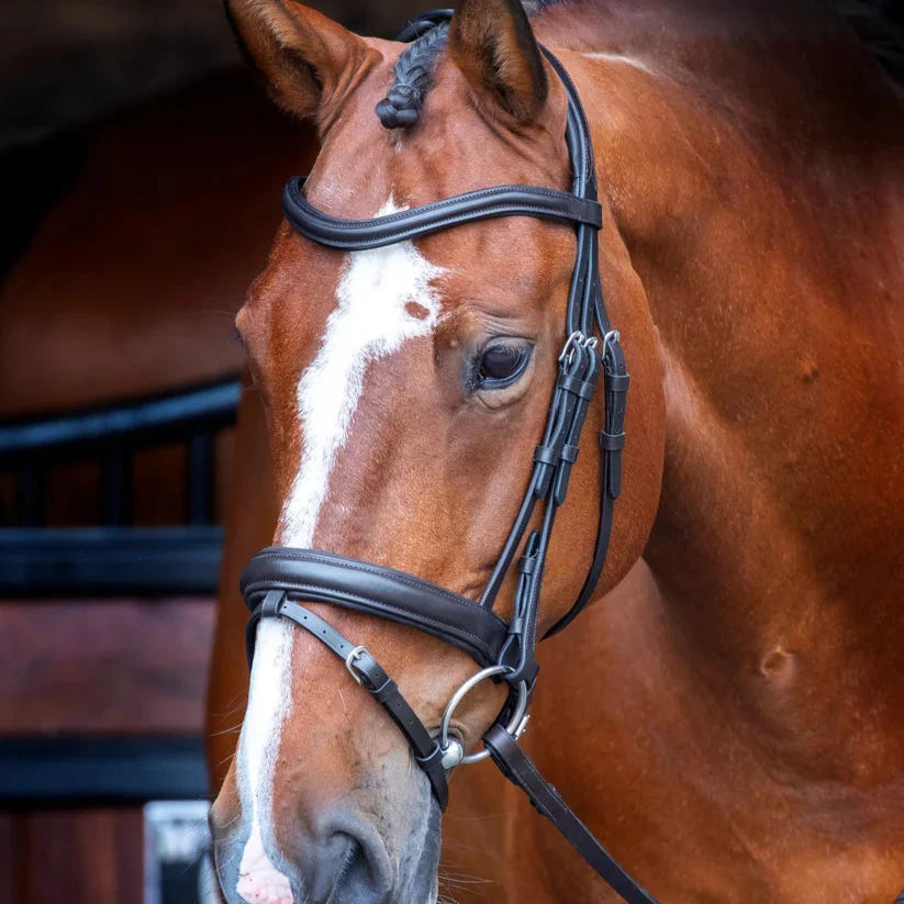 Shires Velociti RAPIDA Dressage Bridle With Flash