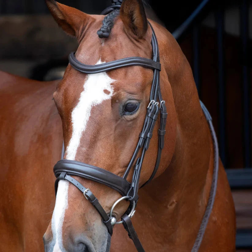 Shires Velociti RAPIDA Dressage Bridle With Flash