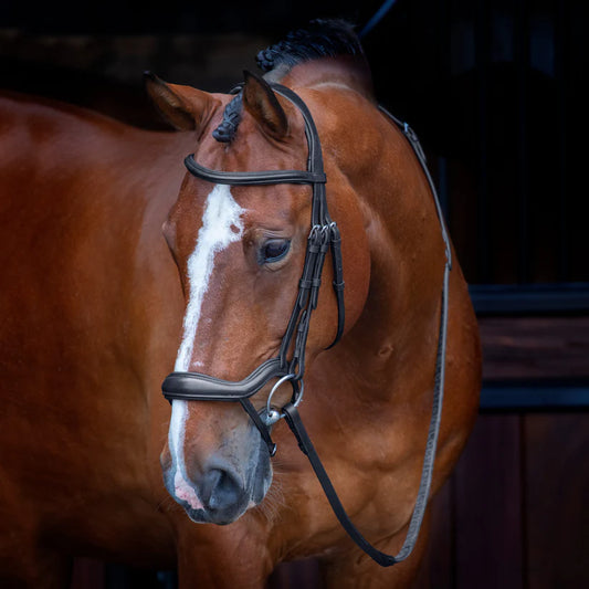 Shires Velociti RAPIDA Ergonomic Flash Bridle