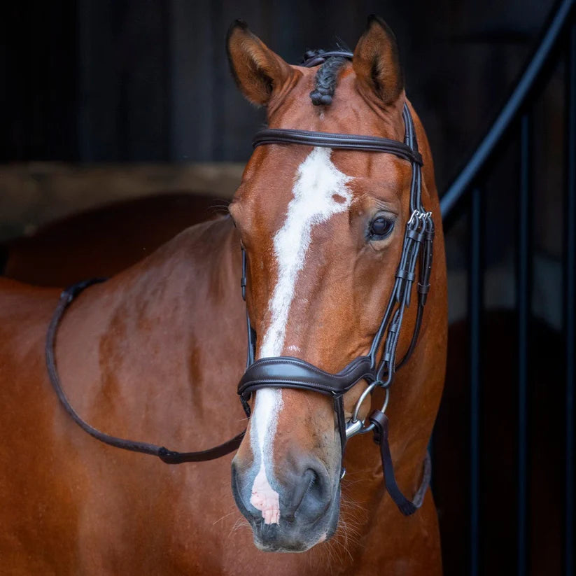 Shires Velociti RAPIDA Ergonomic Flash Bridle