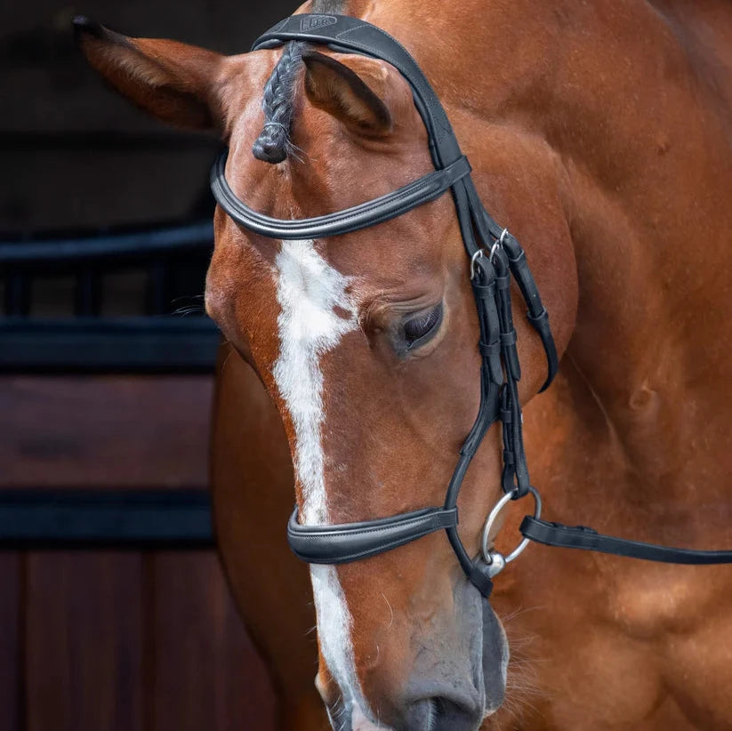 Shires Velociti Rolled Padded Cavesson Bridle