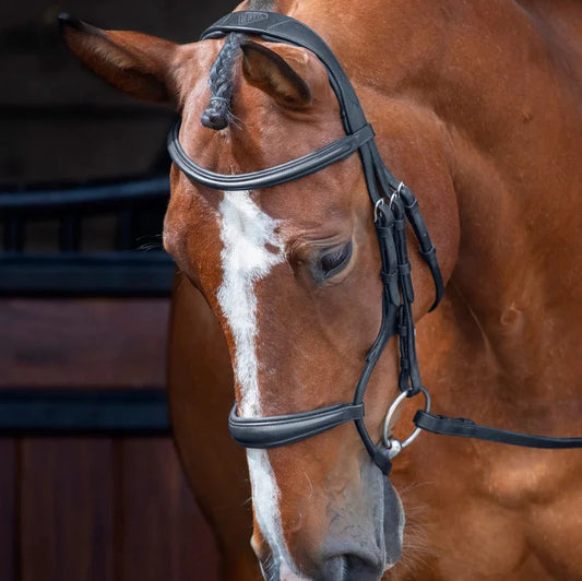 Shires Velociti RAPIDA Rolled Padded Cavesson Bridle