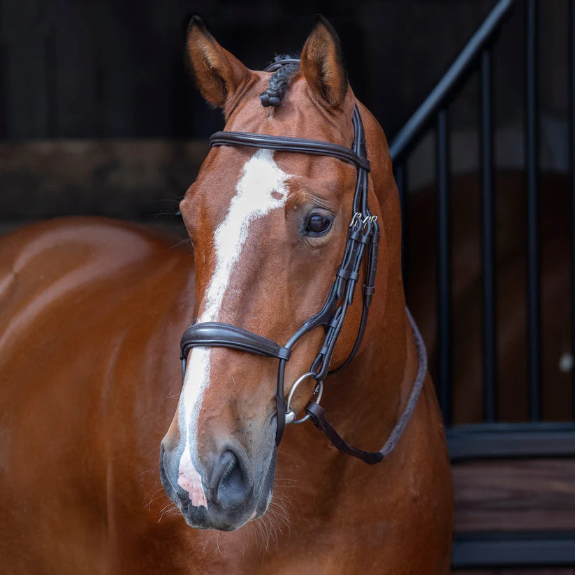 Shires Velociti Rolled Padded Cavesson Bridle