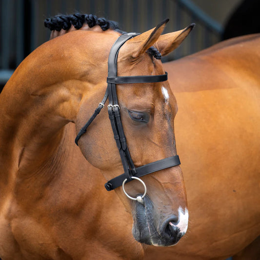 Shires Velociti Lusso Hunter Cavesson Bridle