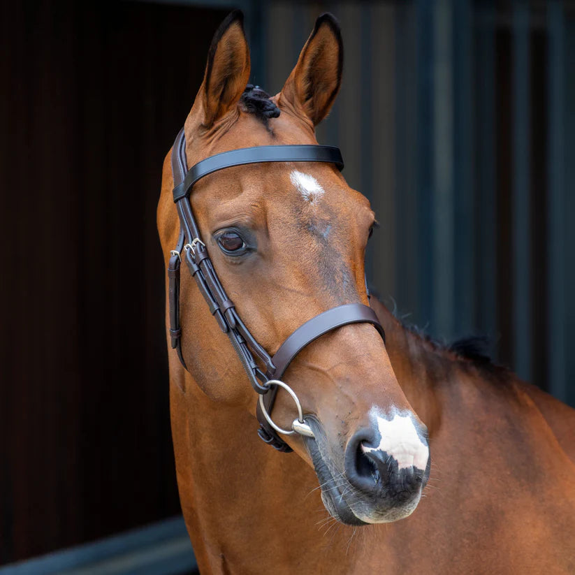 Shires Velociti Lusso Hunter Cavesson Bridle